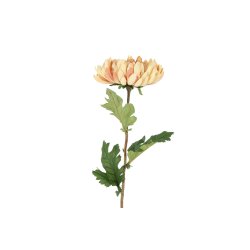 Chrysanthemum Sand 76 cm