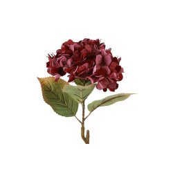 Hortensia Bordeaux 64 cm