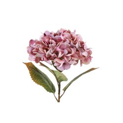 Hortensia Rosa 64 cm