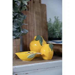 Stage Citron - stor