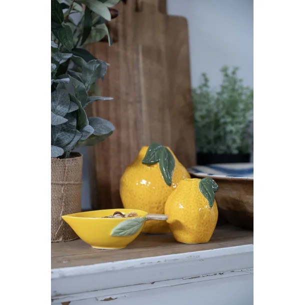 Stage Citron - stor