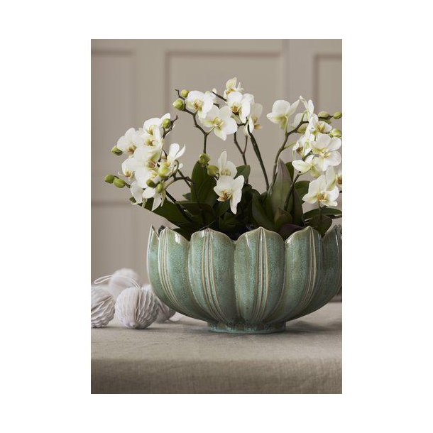 Leslie skjuler/sk�l gr�n