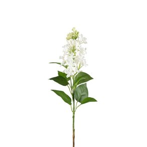 Syren hvid 60 cm