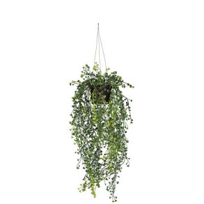 H�ngeplante gr�n 60 cm