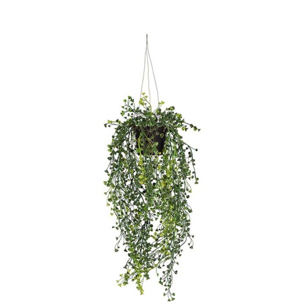 H�ngeplante gr�n 60 cm