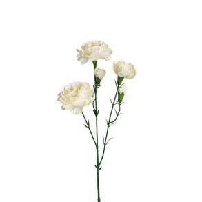 Nellike hvid 65 cm