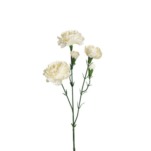 Nellike hvid 65 cm