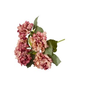 Hortensia buket 