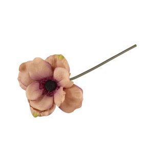 Anemone Rosa 25 cm