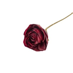 Ranunkel bordeaux 28 cm