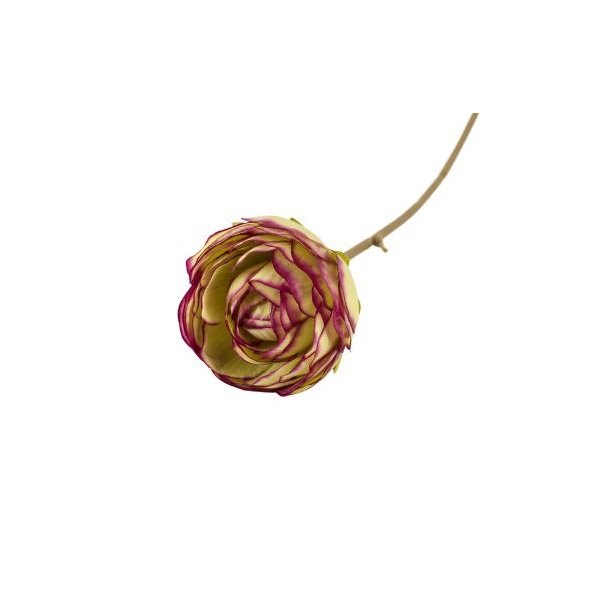 Ranunkel gr�n 28 cm