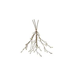 Tilia grene bundt 3 stk