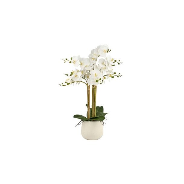 Orkide Hvid - Silke