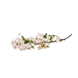 Kirseb�rgren Lyser�d - 90 cm