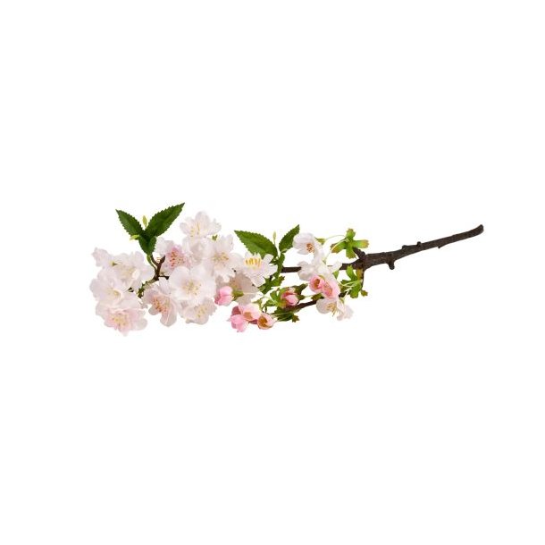 Kirseb�rgren Lyser�d - 50cm