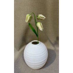 Vibe�g 33 cm - gr�n/hvid