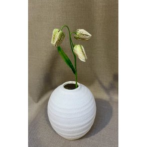 Vibe�g 33 cm - gr�n/hvid