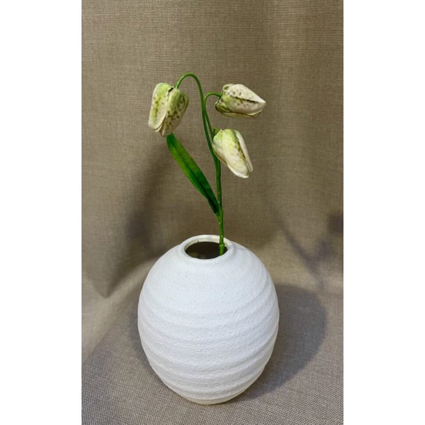 Vibe�g 33 cm - gr�n/hvid