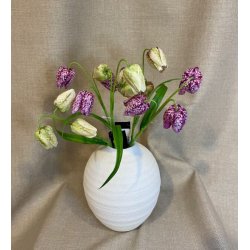 Vibe�g 33 cm - gr�n/hvid