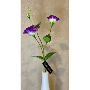 Lisianthus Lilla 67 cm