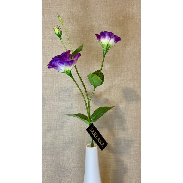 Lisianthus Lilla 67 cm