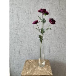 Chrysanthemum m�rk lilla 83 cm