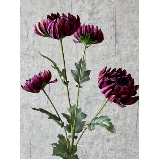 Chrysanthemum m�rk lilla 83 cm