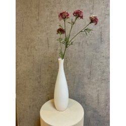 Sk�rmblomst fuchsia 72 cm