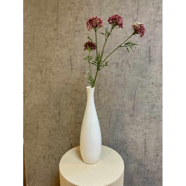 Sk�rmblomst fuchsia 72 cm