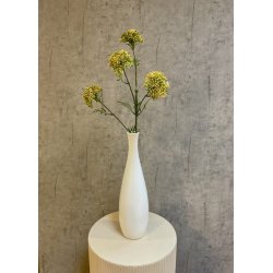 Sk�rmblomst gul 72 cm