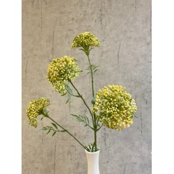 Sk�rmblomst gul 72 cm