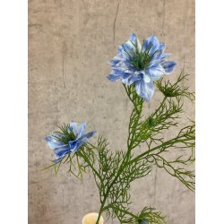 Nigella lysebl� 68 cm