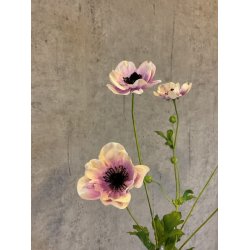 Anemone 81 cm Lys Lilla