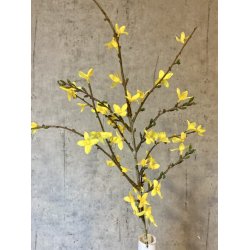 Forsythia 76 cm Gul