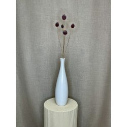 Valmue Kapsler Buket 75 cm