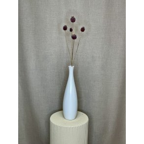 Valmue Kapsler Buket 75 cm