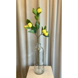 Gren med citroner 68 cm