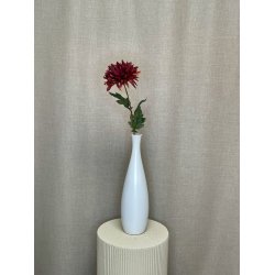 Chrysanthemum Brun 68 cm