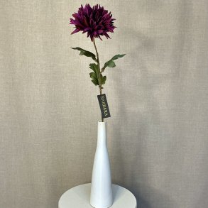 Chrysanthemum M�rk Lilla 68 cm