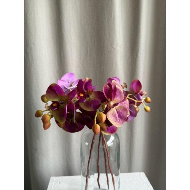 Orkide Lilla 44 cm