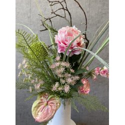 Sk�rmblomst rosa 50 cm