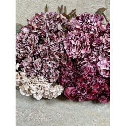Hortensia Bordeaux 64 cm