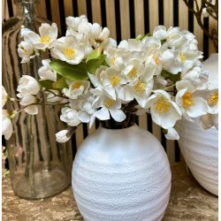 �bleblomst gren hvid