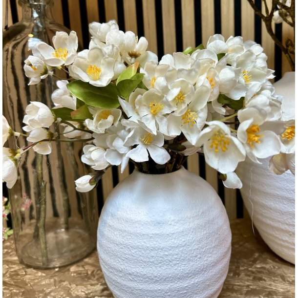 �bleblomst gren hvid