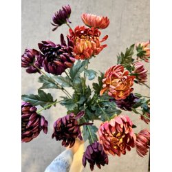 Chrysanthemum m�rk lilla 83 cm