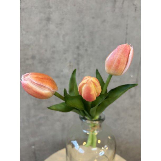 Tulipanbundt Peach 29 cm