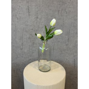 Tulipanbundt Hvid 29 cm