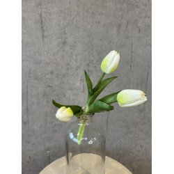 Tulipanbundt Hvid 29 cm