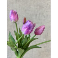 Tulipanbundt Lilla/Hvid 41 cm