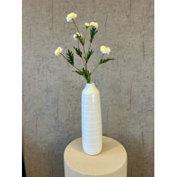 Helichrysum hvid 68 cm